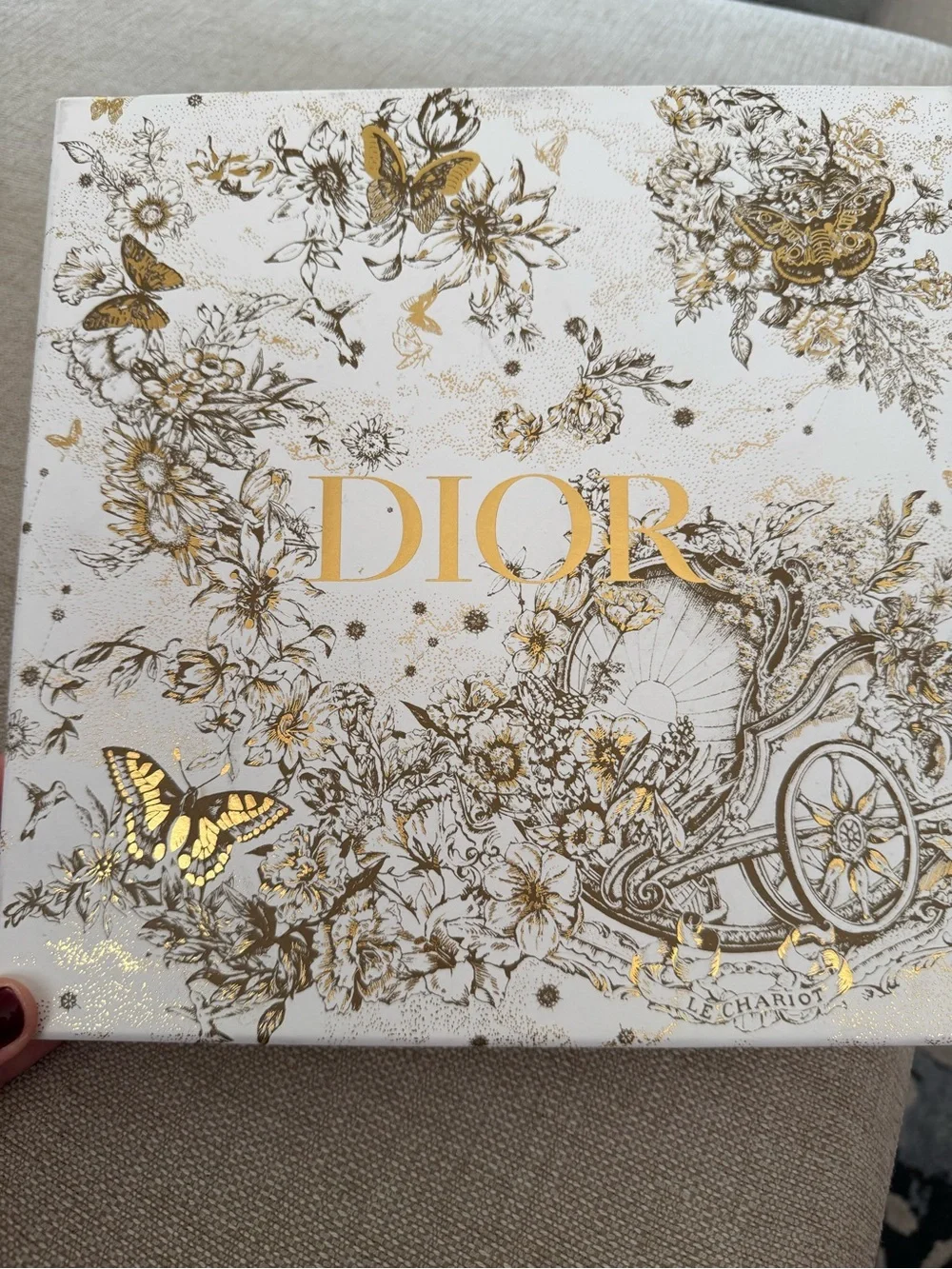 Christian Dior La Force scarf